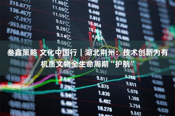 叁鑫策略 文化中国行｜湖北荆州：技术创新为有机质文物全生命周期“护航”