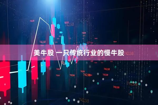 美牛股 一只传统行业的慢牛股